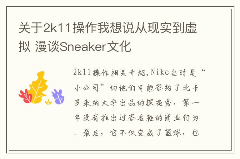 關(guān)于2k11操作我想說(shuō)從現(xiàn)實(shí)到虛擬 漫談Sneaker文化