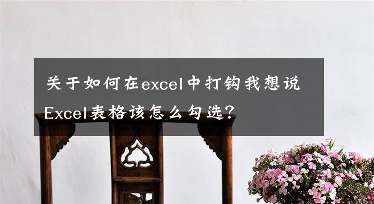 關(guān)于如何在excel中打鉤我想說Excel表格該怎么勾選？