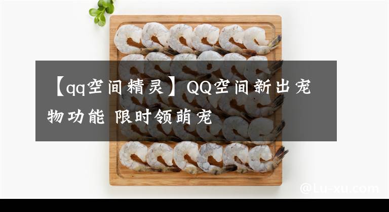 【qq空間精靈】QQ空間新出寵物功能 限時領(lǐng)萌寵