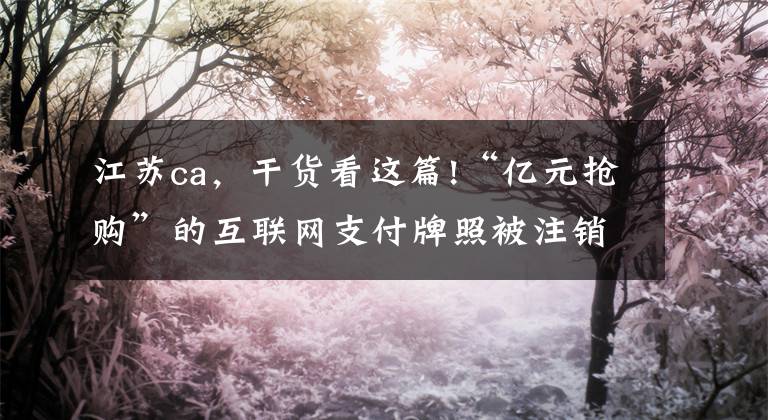 江蘇ca，干貨看這篇!“億元搶購(gòu)”的互聯(lián)網(wǎng)支付牌照被注銷，是何原因？