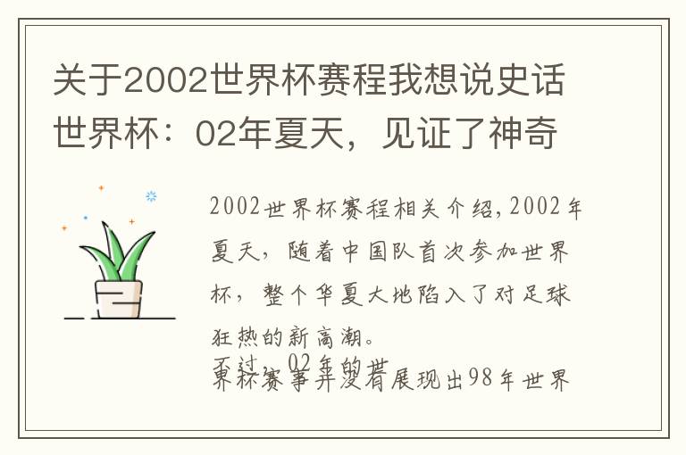 關(guān)于2002世界杯賽程我想說史話世界杯：02年夏天，見證了神奇大羅與韓國爭議