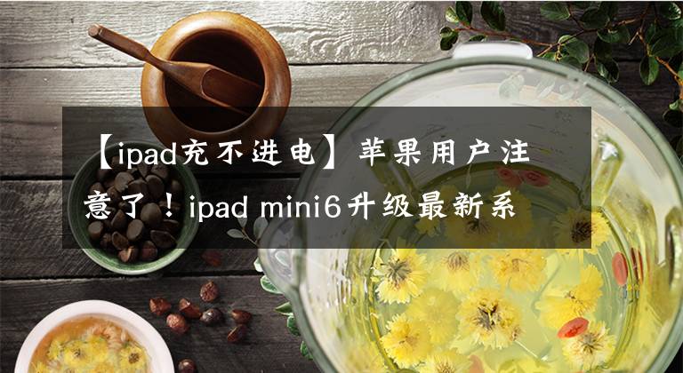 【ipad充不進(jìn)電】蘋果用戶注意了！ipad mini6升級最新系統(tǒng)后無法充電