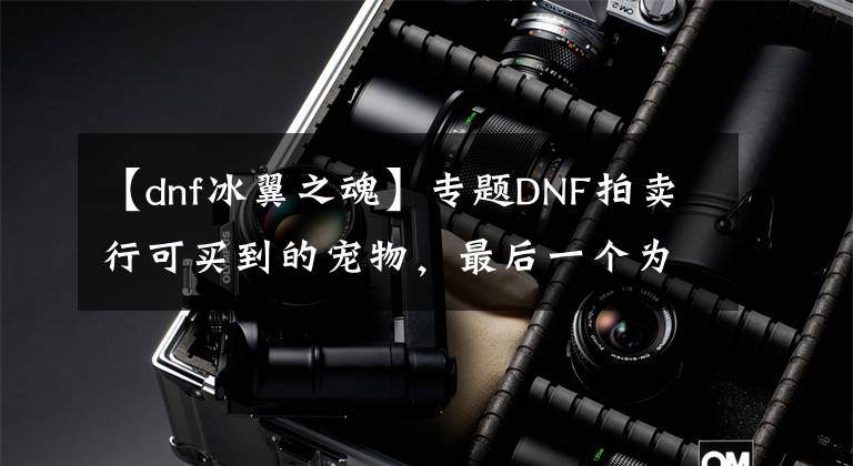 【dnf冰翼之魂】專題DNF拍賣行可買到的寵物，最后一個為國寶級寵物