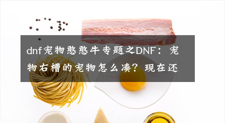 dnf寵物憨憨牛專題之DNF：寵物右槽的寵物怎么湊？現(xiàn)在還有哪些途徑可以獲取寵物呢？