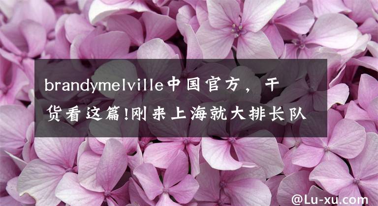 brandymelville中國官方，干貨看這篇!剛來上海就大排長隊，只出S碼的Brandy Melville到底什么來頭？