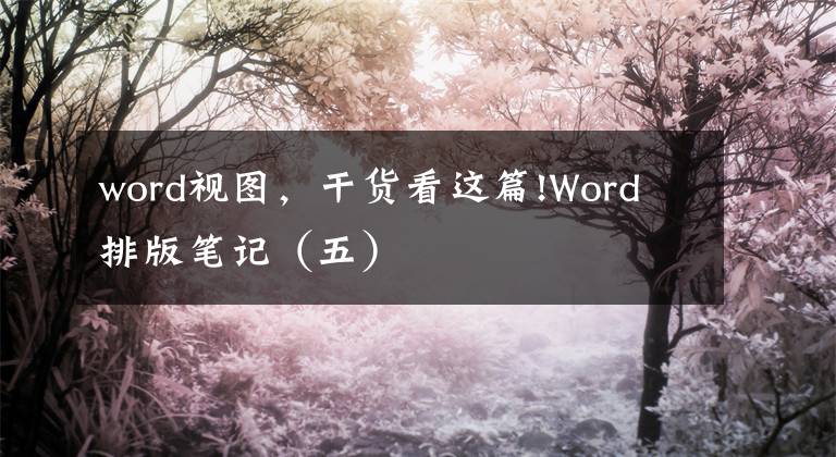 word視圖，干貨看這篇!Word 排版筆記（五）