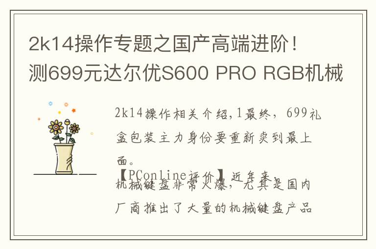 2k14操作專題之國產(chǎn)高端進階！測699元達爾優(yōu)S600 PRO RGB機械鍵盤