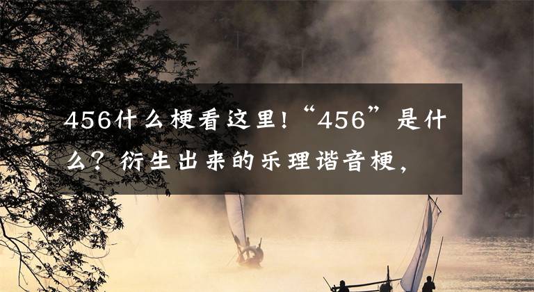 456什么?？催@里!“456”是什么？衍生出來的樂理諧音梗，看一遍都反應不過來是啥