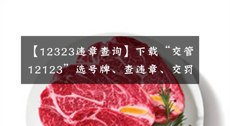 【12323違章查詢】下載“交管12123”選號(hào)牌、查違章、交罰款掌上輕松辦！