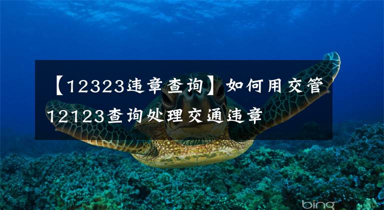 【12323違章查詢】如何用交管12123查詢處理交通違章