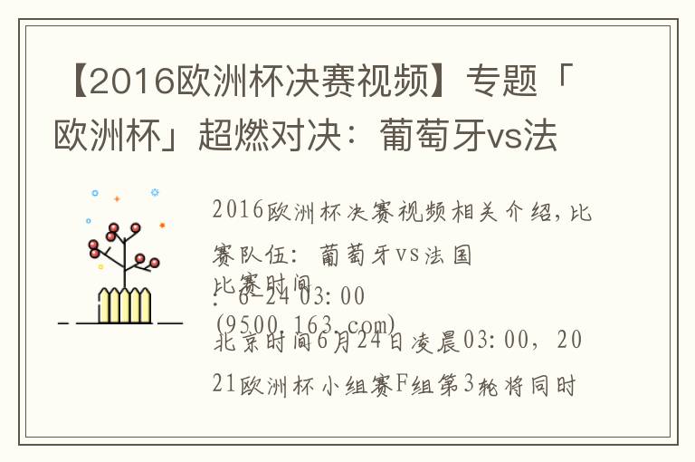 【2016歐洲杯決賽視頻】專題「歐洲杯」超燃對(duì)決：葡萄牙vs法國(guó)，大航海家力博高盧雄雞