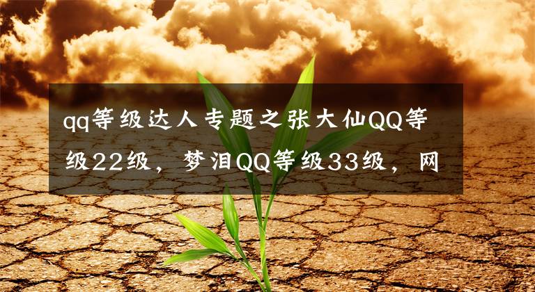 qq等級達人專題之張大仙QQ等級22級，夢淚QQ等級33級，網(wǎng)友：等級有些低