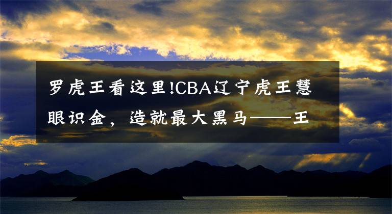 羅虎王看這里!CBA遼寧虎王慧眼識金，造就最大黑馬——王晗！