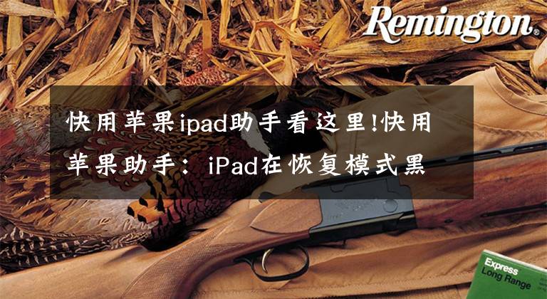 快用蘋果ipad助手看這里!快用蘋果助手：iPad在恢復(fù)模式黑屏了怎么辦