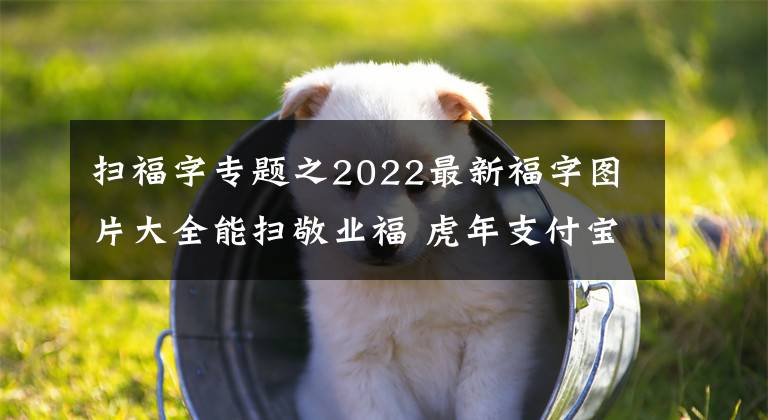 掃福字專題之2022最新福字圖片大全能掃敬業(yè)福 虎年支付寶能掃出福字圖片原圖