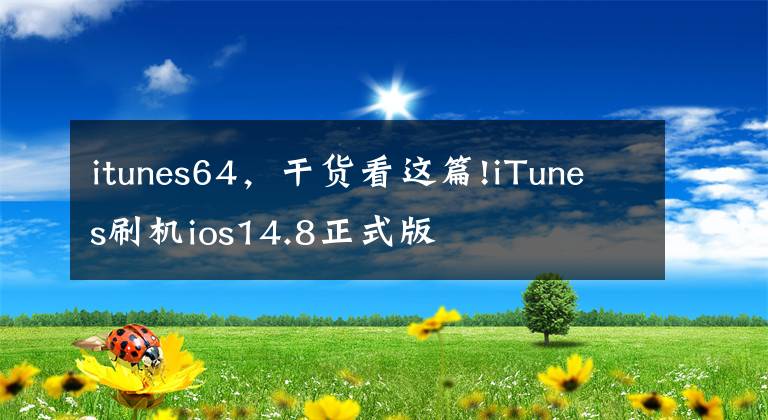 itunes64，干貨看這篇!iTunes刷機(jī)ios14.8正式版