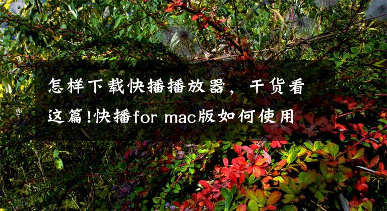 怎樣下載快播播放器，干貨看這篇!快播for mac版如何使用 使用快播for mac版的詳細圖文教程