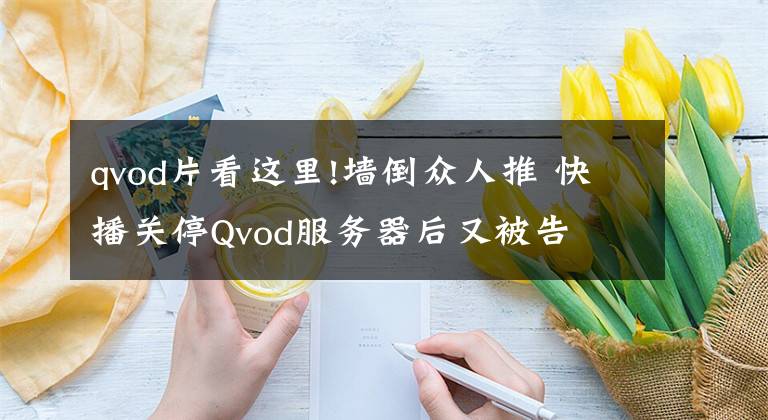 qvod片看這里!墻倒眾人推 快播關(guān)停Qvod服務(wù)器后又被告