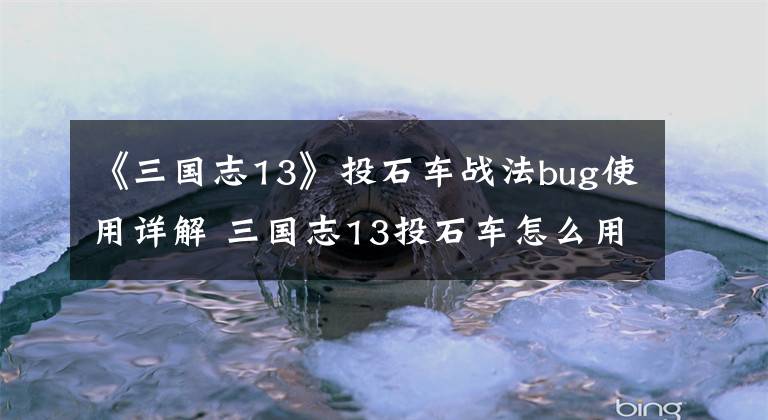 《三國(guó)志13》投石車戰(zhàn)法bug使用詳解 三國(guó)志13投石車怎么用