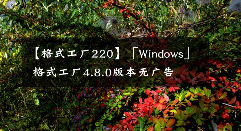 【格式工廠220】「Windows」 格式工廠4.8.0版本無廣告