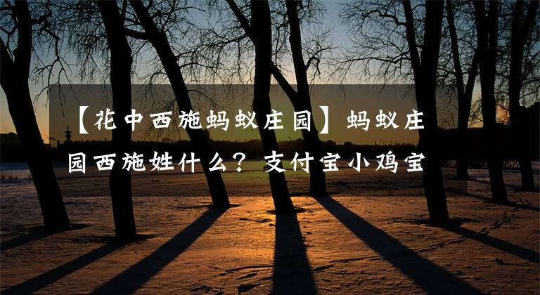 【花中西施螞蟻莊園】螞蟻莊園西施姓什么？支付寶小雞寶寶考考你2020年10月27日答案