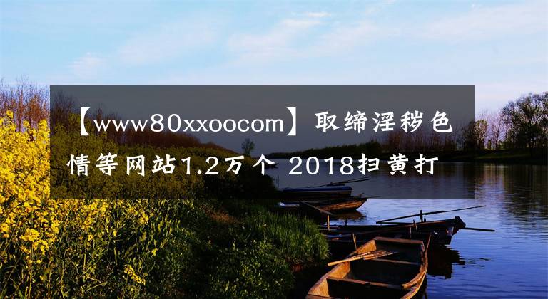 【www80xxoocom】取締淫穢色情等網(wǎng)站1.2萬個 2018掃黃打非不留死角