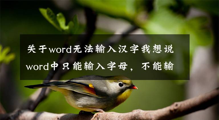 關于word無法輸入漢字我想說word中只能輸入字母，不能輸入漢字