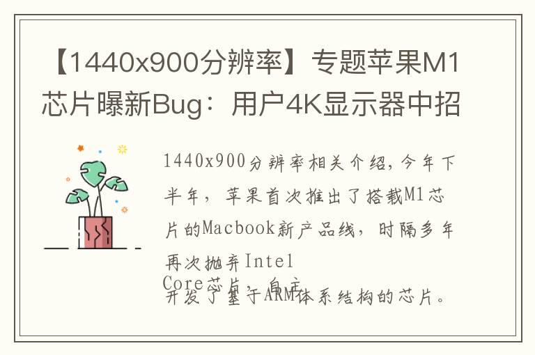 【1440x900分辨率】專題蘋果M1芯片曝新Bug：用戶4K顯示器中招，系統(tǒng)兼容性有問題