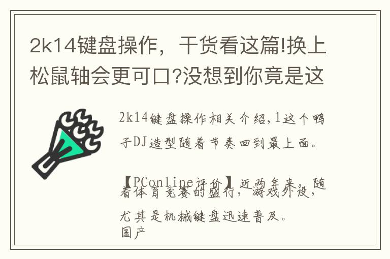 2k14鍵盤操作，干貨看這篇!換上松鼠軸會更可口?沒想到你竟是這樣的機(jī)械鍵盤