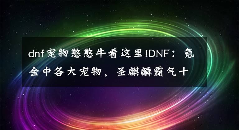 dnf寵物憨憨?？催@里!DNF：氪金中各大寵物，圣麒麟霸氣十足，活動(dòng)贈(zèng)送的寵物如此給力