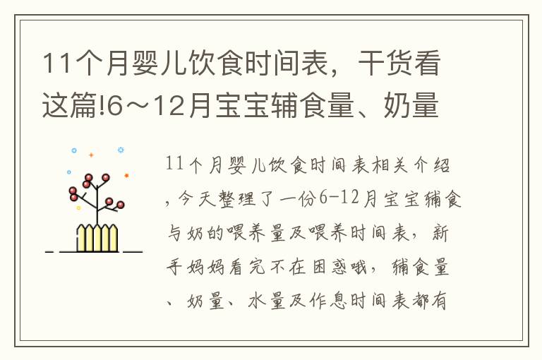 11個(gè)月嬰兒飲食時(shí)間表，干貨看這篇!6～12月寶寶輔食量、奶量喂養(yǎng)時(shí)間表，新手媽媽收藏