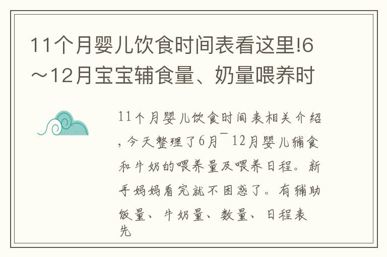 11個(gè)月嬰兒飲食時(shí)間表看這里!6～12月寶寶輔食量、奶量喂養(yǎng)時(shí)間表，新手媽媽收藏