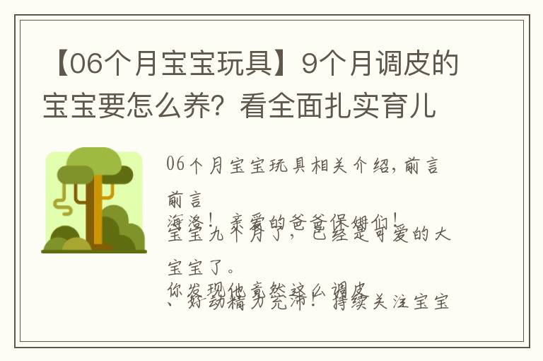 【06個(gè)月寶寶玩具】9個(gè)月調(diào)皮的寶寶要怎么養(yǎng)？看全面扎實(shí)育兒早教知識(shí)！建議收藏