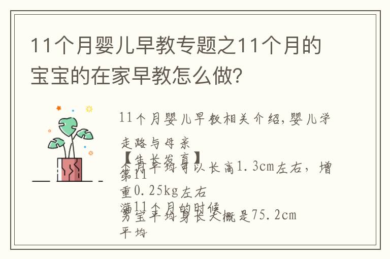 11個(gè)月嬰兒早教專題之11個(gè)月的寶寶的在家早教怎么做？