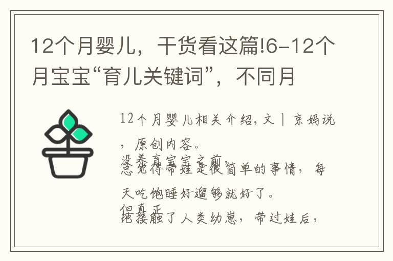 12個(gè)月嬰兒，干貨看這篇!6-12個(gè)月寶寶“育兒關(guān)鍵詞”，不同月齡養(yǎng)護(hù)重點(diǎn)及建議，收藏