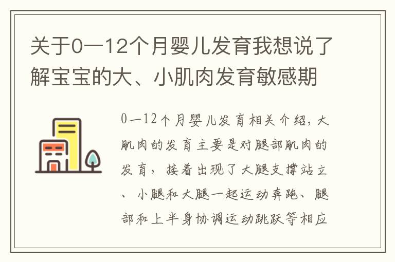 關(guān)于0一12個(gè)月嬰兒發(fā)育我想說(shuō)了解寶寶的大、小肌肉發(fā)育敏感期