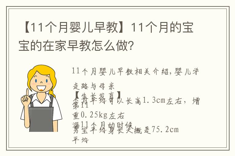 【11個(gè)月嬰兒早教】11個(gè)月的寶寶的在家早教怎么做？