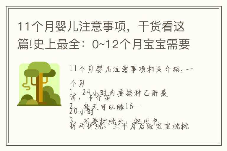 11個月嬰兒注意事項，干貨看這篇!史上最全：0~12個月寶寶需要注意的事項，過來人都說，很實用