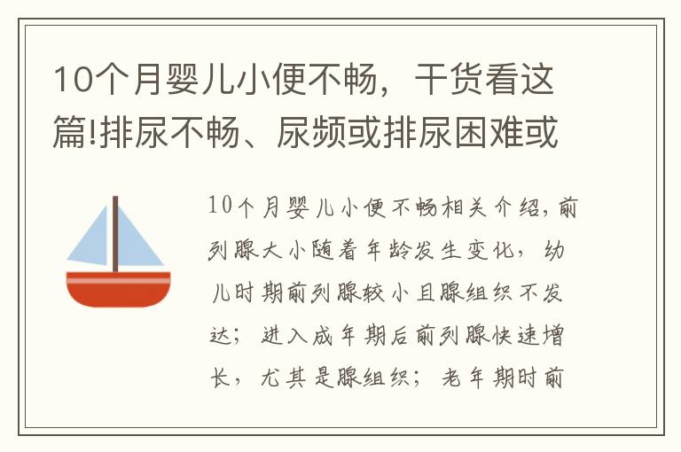 10個月嬰兒小便不暢，干貨看這篇!排尿不暢、尿頻或排尿困難或是前列腺增生來襲？4個方法能診斷