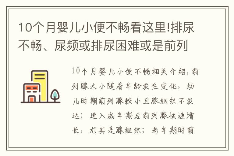 10個(gè)月嬰兒小便不暢看這里!排尿不暢、尿頻或排尿困難或是前列腺增生來(lái)襲？4個(gè)方法能診斷