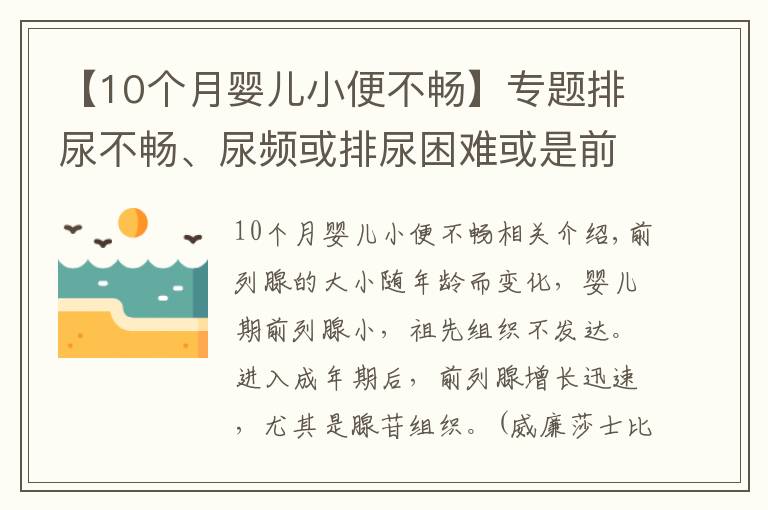 【10個(gè)月嬰兒小便不暢】專題排尿不暢、尿頻或排尿困難或是前列腺增生來(lái)襲？4個(gè)方法能診斷