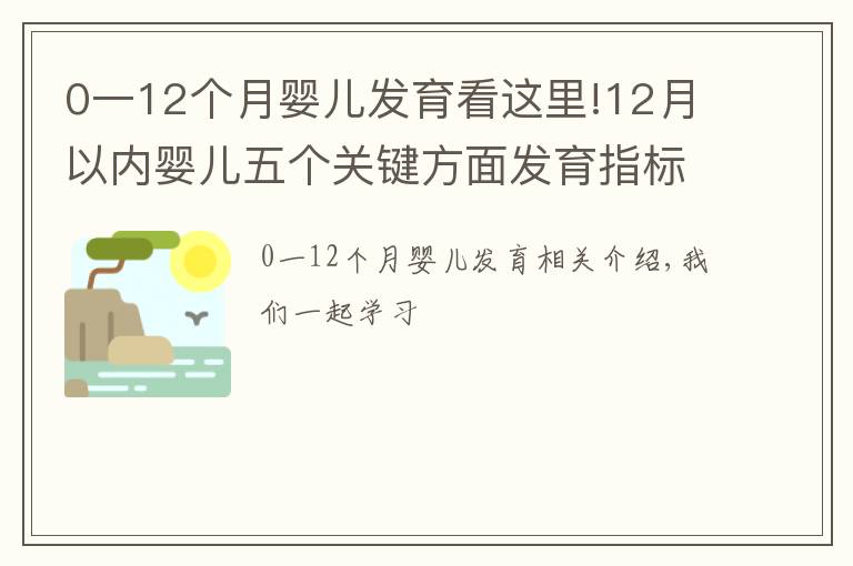 0一12個月嬰兒發(fā)育看這里!12月以內(nèi)嬰兒五個關鍵方面發(fā)育指標整理