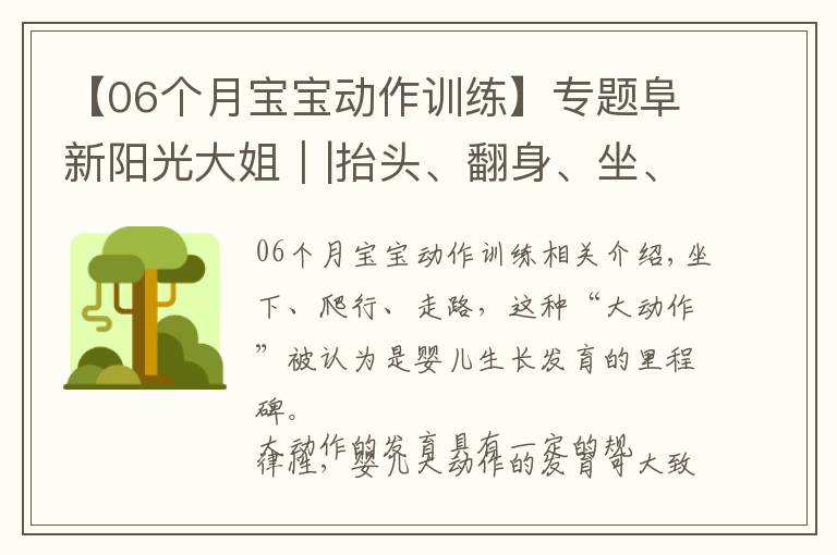 【06個月寶寶動作訓(xùn)練】專題阜新陽光大姐｜|抬頭、翻身、坐、爬、走，1~12個月寶寶大動作訓(xùn)練指南