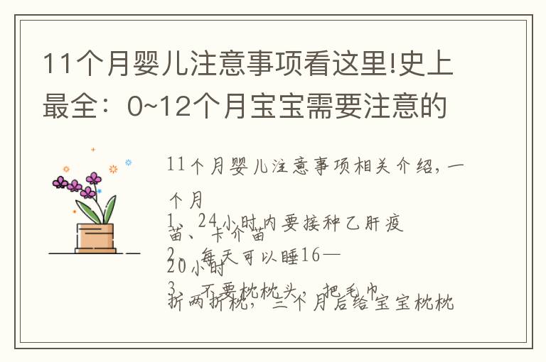 11個月嬰兒注意事項看這里!史上最全：0~12個月寶寶需要注意的事項，過來人都說，很實用