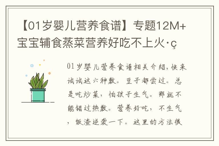 【01歲嬰兒營養(yǎng)食譜】專題12M+寶寶輔食蒸菜營養(yǎng)好吃不上火·簡單