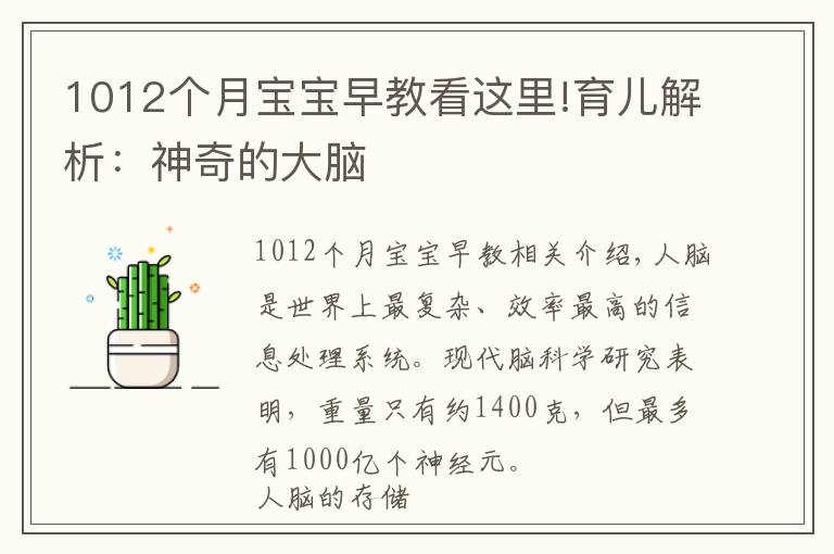 1012個(gè)月寶寶早教看這里!育兒解析：神奇的大腦