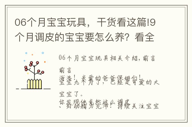 06個(gè)月寶寶玩具，干貨看這篇!9個(gè)月調(diào)皮的寶寶要怎么養(yǎng)？看全面扎實(shí)育兒早教知識(shí)！建議收藏