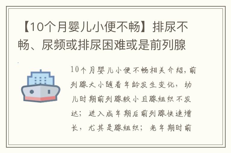 【10個月嬰兒小便不暢】排尿不暢、尿頻或排尿困難或是前列腺增生來襲？4個方法能診斷