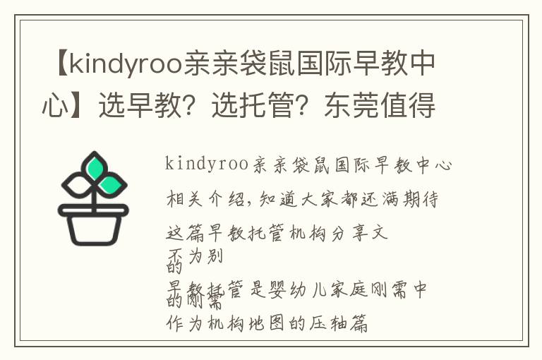 【kindyroo親親袋鼠國(guó)際早教中心】選早教？選托管？東莞值得推薦的這類機(jī)構(gòu)，在這兒