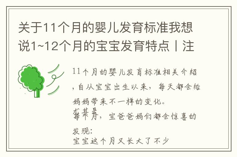 關(guān)于11個(gè)月的嬰兒發(fā)育標(biāo)準(zhǔn)我想說1~12個(gè)月的寶寶發(fā)育特點(diǎn)丨注意事項(xiàng)丨早教玩具推薦